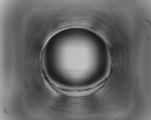 X0000097751532200803141545