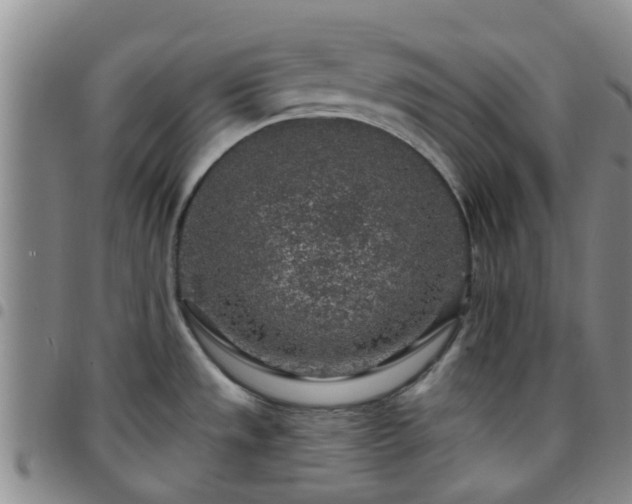 X0000097751533200803141545