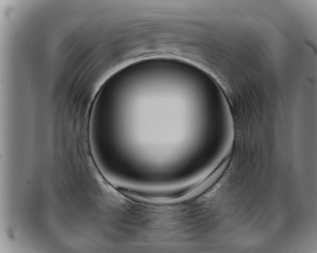 X0000097751534200803141545