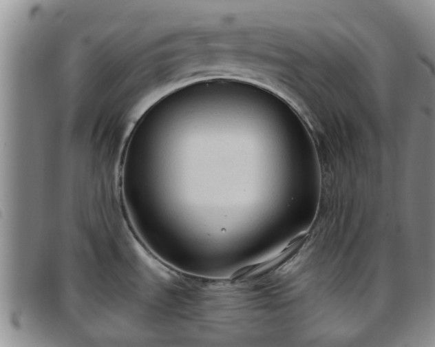 X0000097751535200803141545