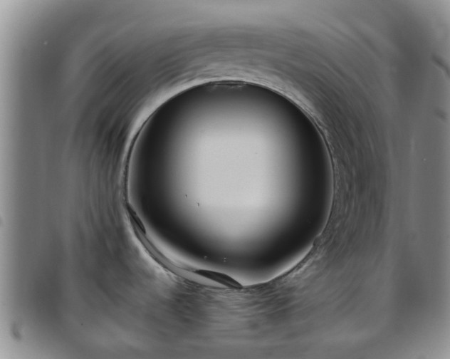 X0000097751536200803141545