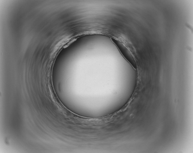 X0000097750001200803211702