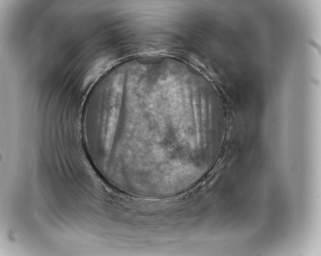 X0000097750002200803211702