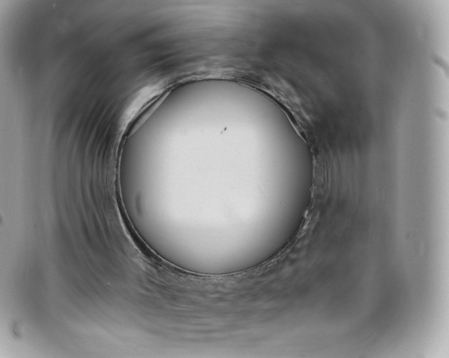 X0000097750003200803211702