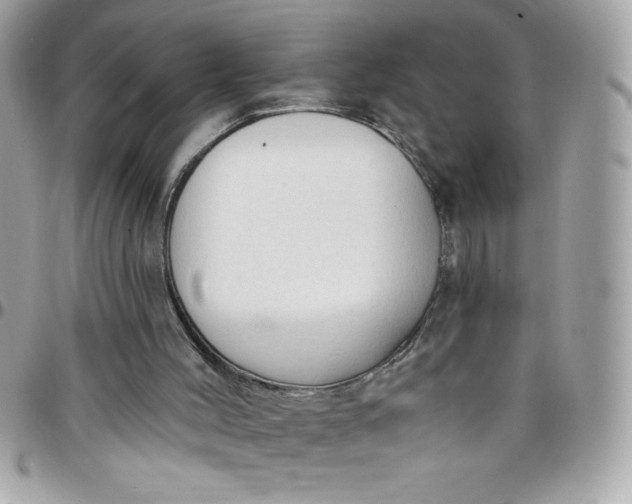 X0000097750004200803211702