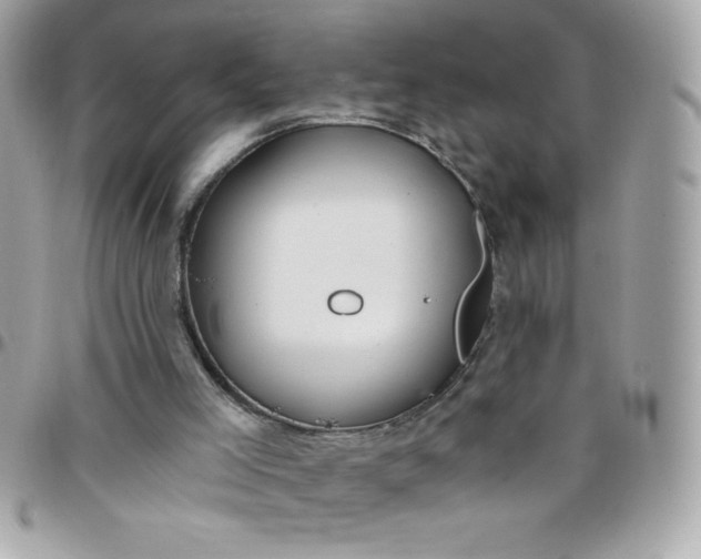 X0000097750005200803211702