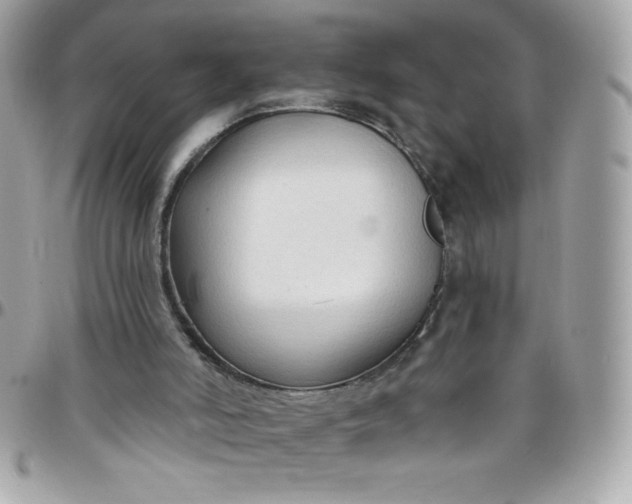 X0000097750006200803211702