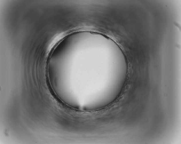 X0000097750007200803211702