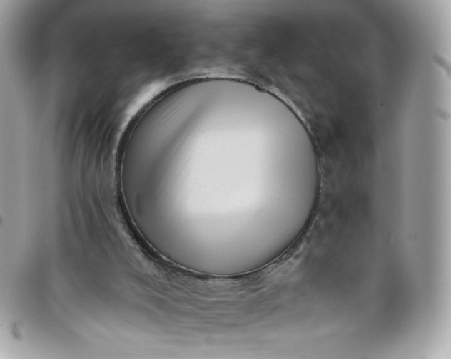 X0000097750008200803211702