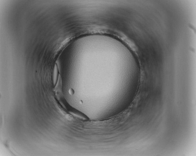 X0000097750009200803211702