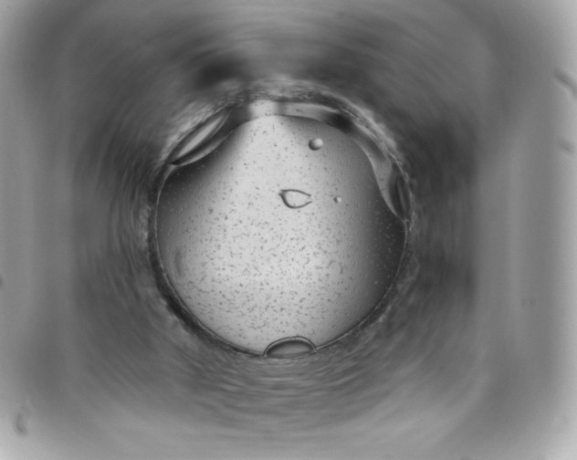 X0000097750010200803211702