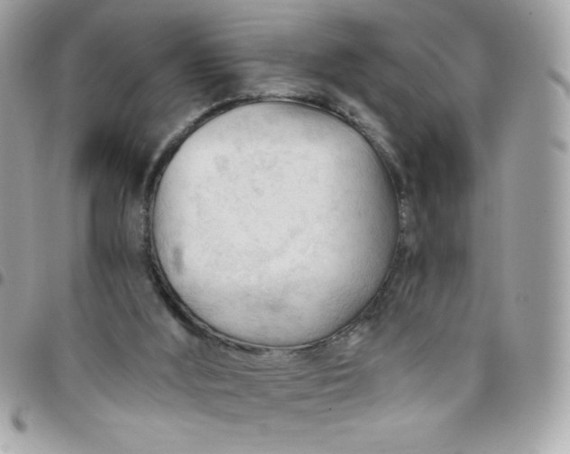 X0000097750012200803211702