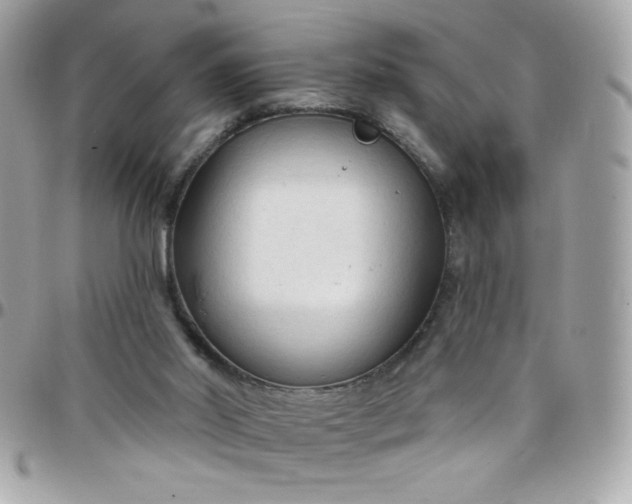 X0000097750014200803211702