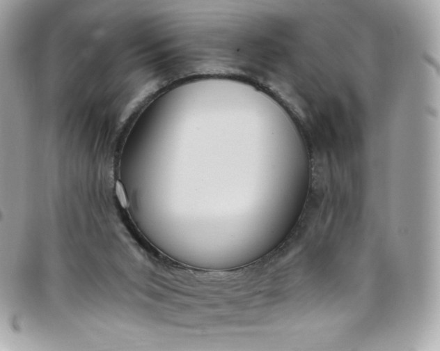 X0000097750015200803211702