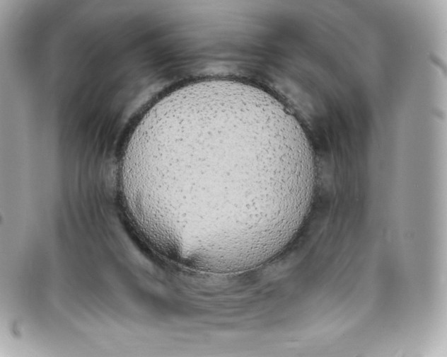 X0000097750016200803211702