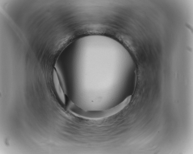 X0000097750017200803211702