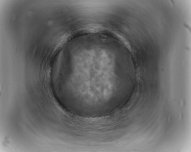 X0000097750018200803211702