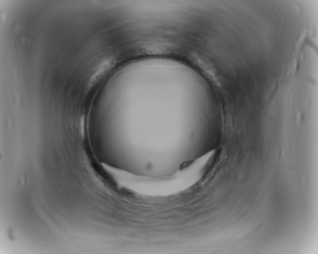 X0000097750019200803211702