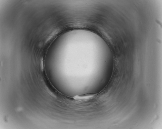 X0000097750020200803211702