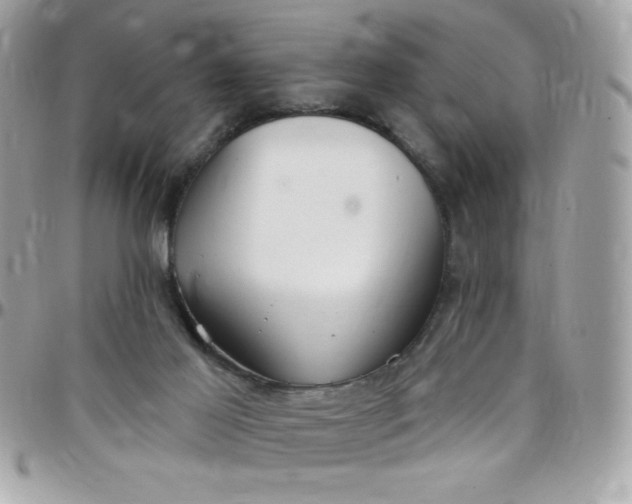 X0000097750021200803211702