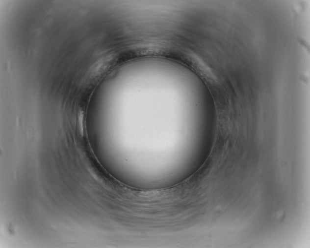 X0000097750022200803211702