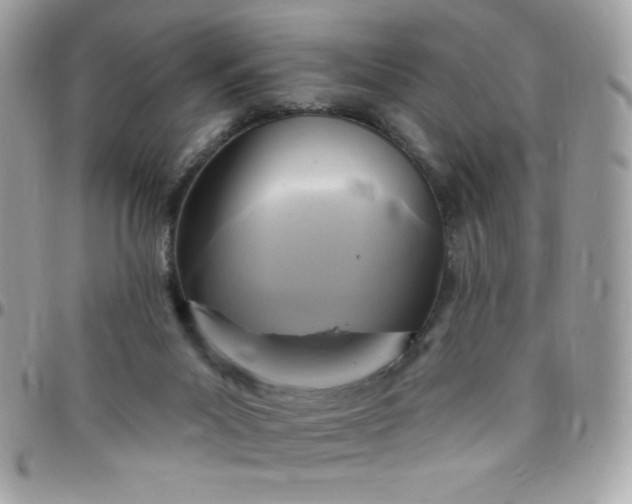 X0000097750023200803211702