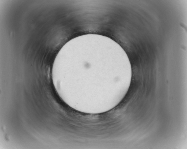 X0000097750024200803211702