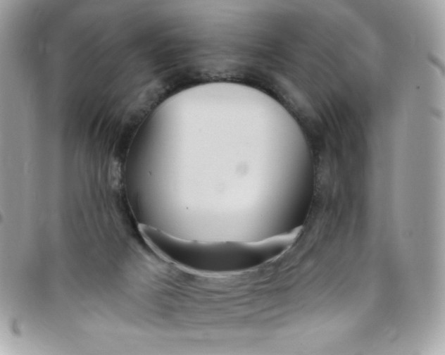 X0000097750025200803211702