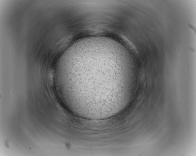 X0000097750026200803211702