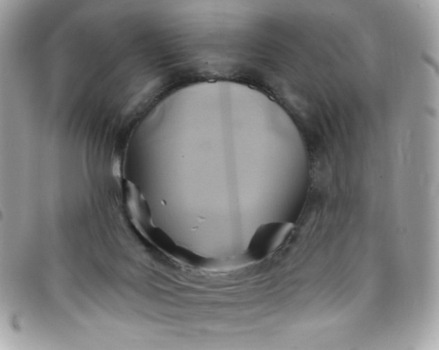 X0000097750027200803211702