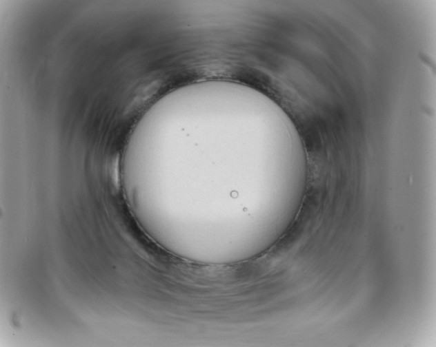 X0000097750028200803211702