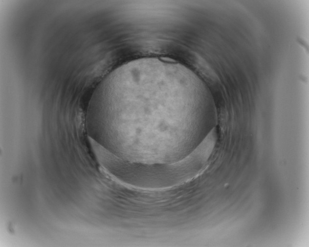 X0000097750029200803211702