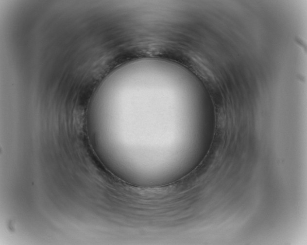 X0000097750030200803211702