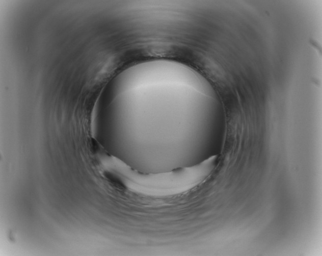 X0000097750031200803211702