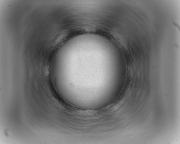 X0000097750032200803211702