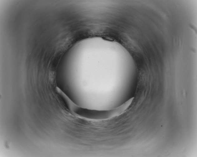 X0000097750033200803211702