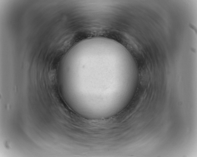 X0000097750034200803211702