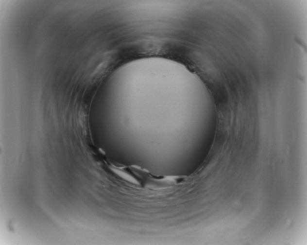 X0000097750035200803211702