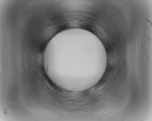 X0000097750036200803211702