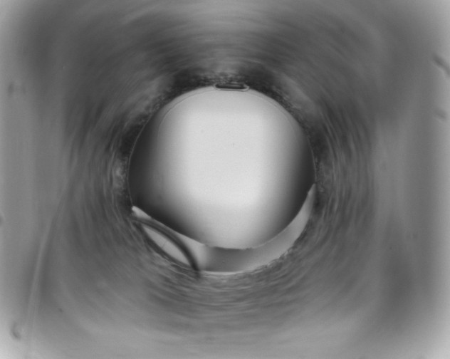 X0000097750037200803211702