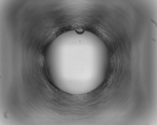 X0000097750038200803211702