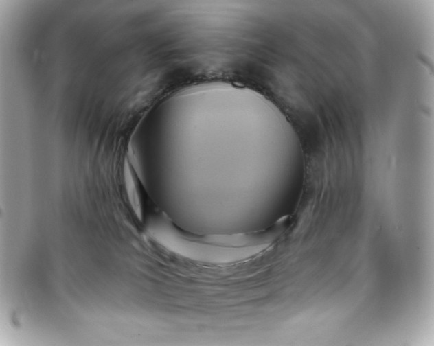 X0000097750039200803211702