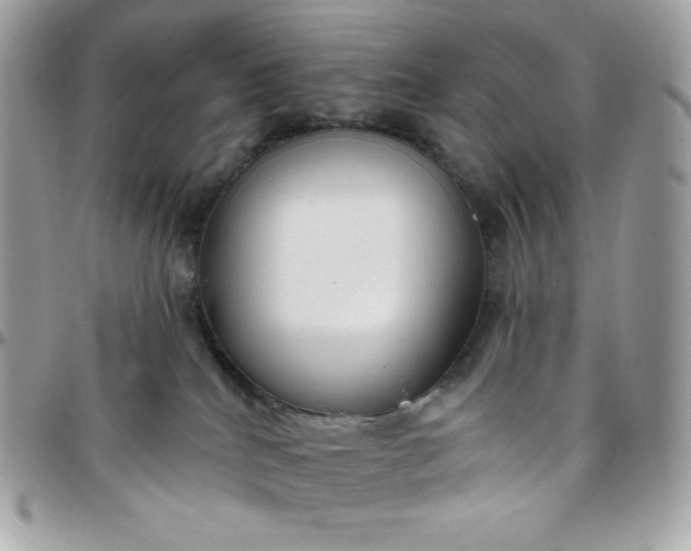 X0000097750040200803211702