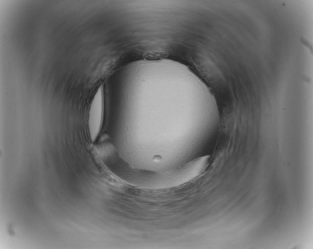 X0000097750041200803211702