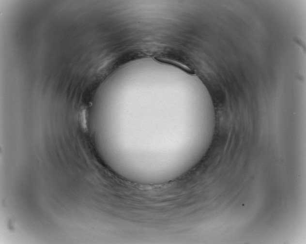 X0000097750042200803211702