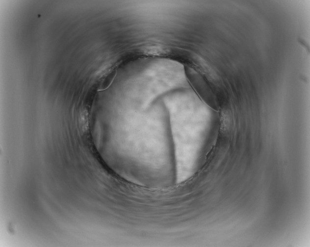 X0000097750043200803211702