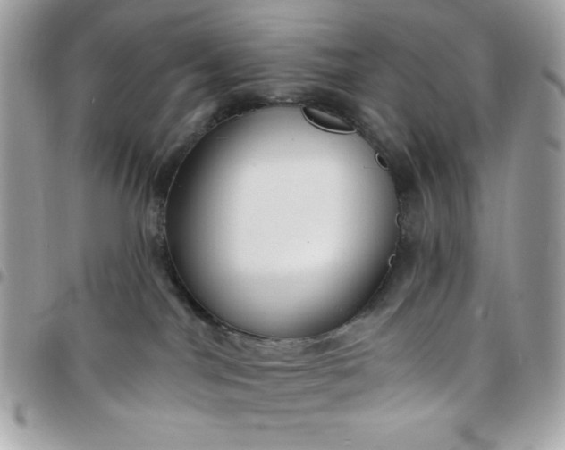 X0000097750044200803211702