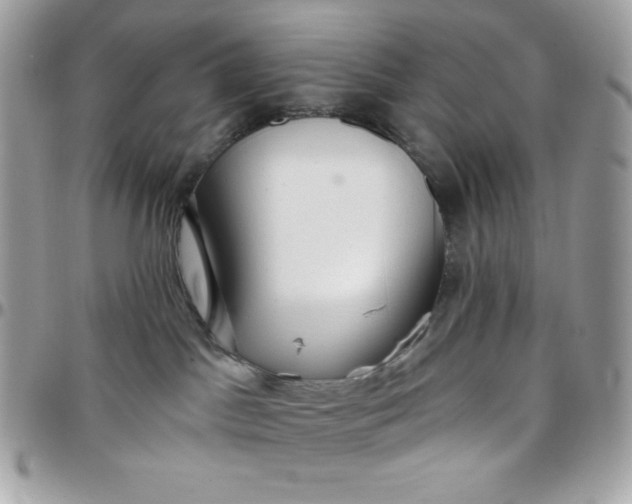 X0000097750045200803211702