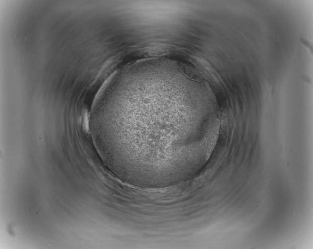 X0000097750046200803211702