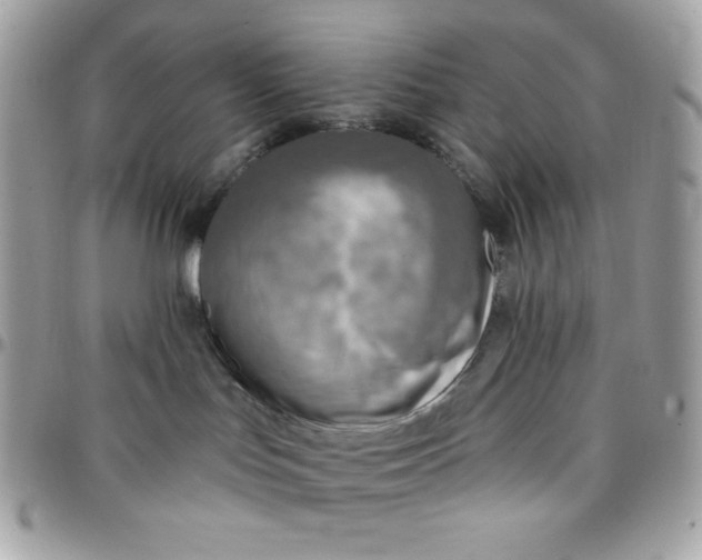 X0000097750047200803211702